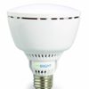 VIRIBRIGHT LED PAR30 Lampe Birne 750079
