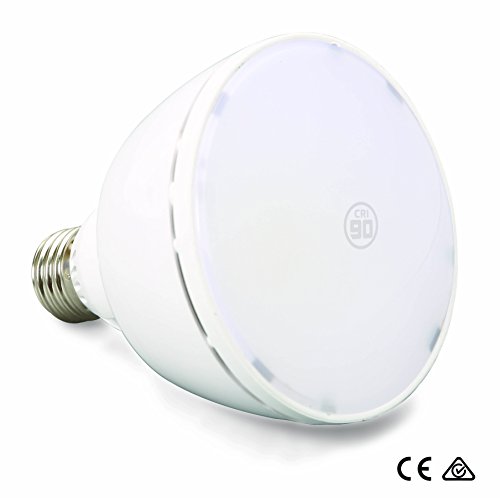 VIRIBRIGHT LED PAR30 Lampe Birne 750079