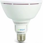 VIRIBRIGHT LED IP55 PAR-38 Lampe Birne 15W